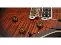 PRS SE Special Semi-Hollow OTS PRS SE Special Semi-Hollow OTS